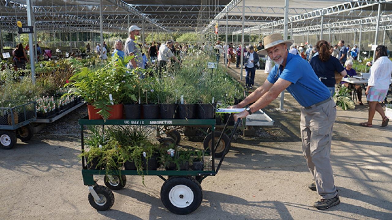 Arboretum and Public Garden Plant Sale One Aggie Network